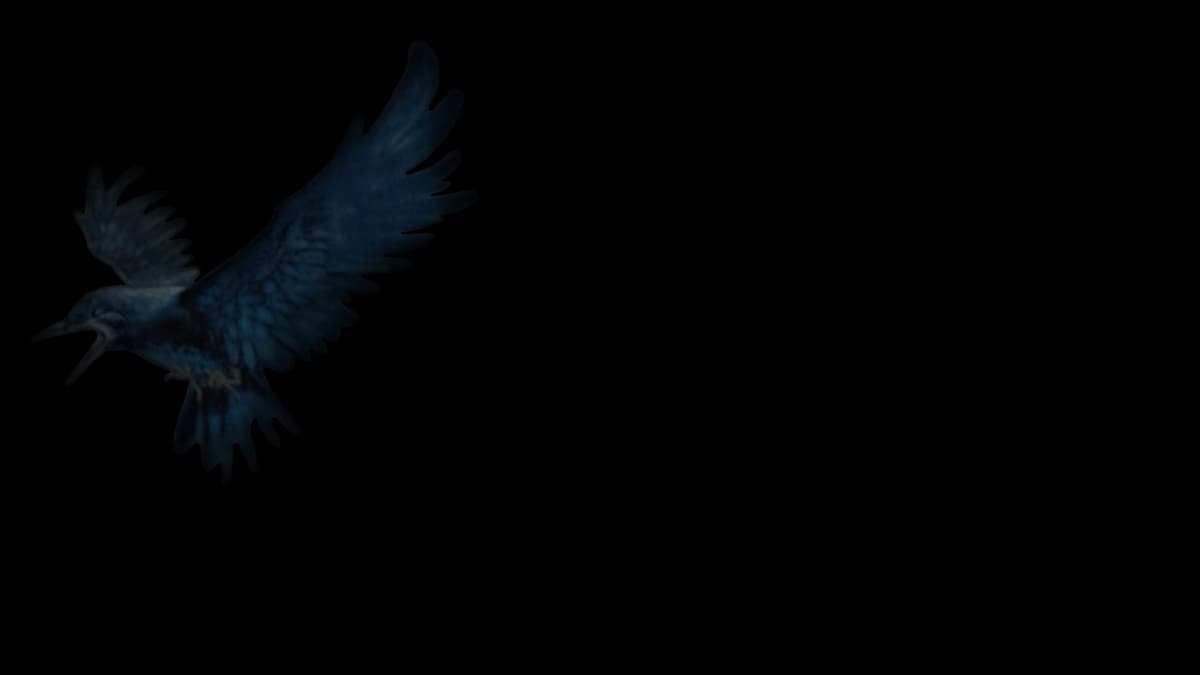 Raven