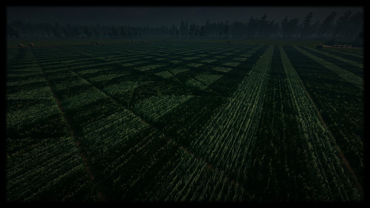Geometric Field