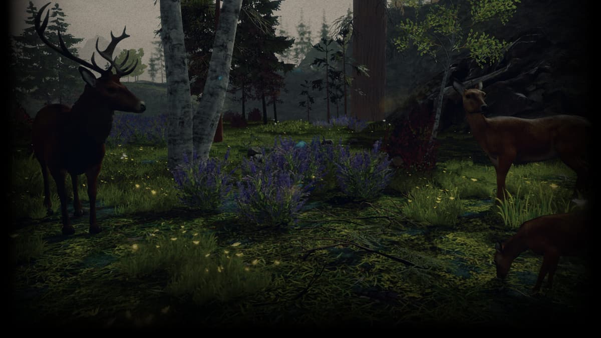 Deers