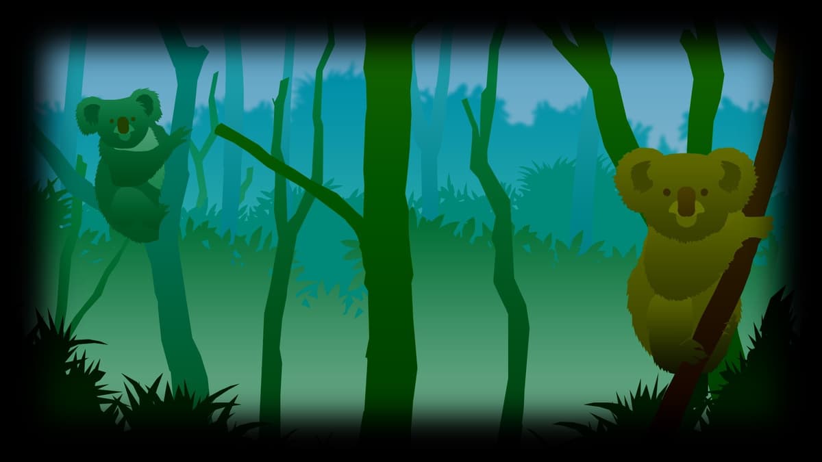 Koala (Profile Background)