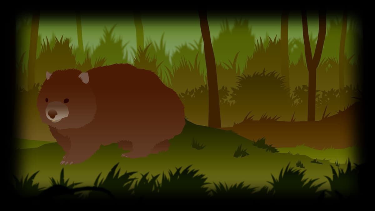 Wombat