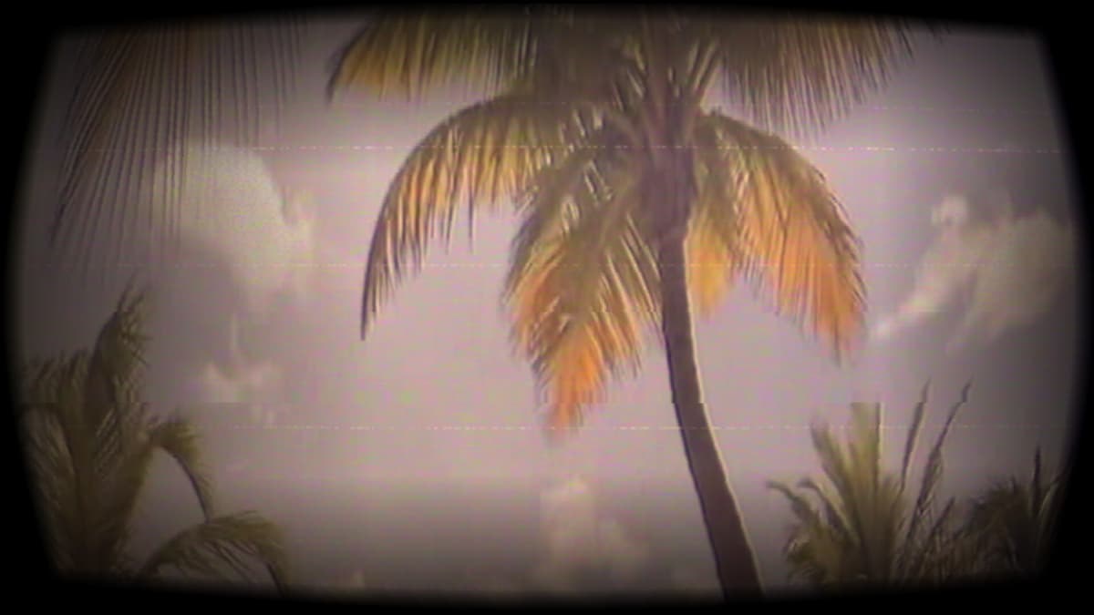 Beautiful Summer