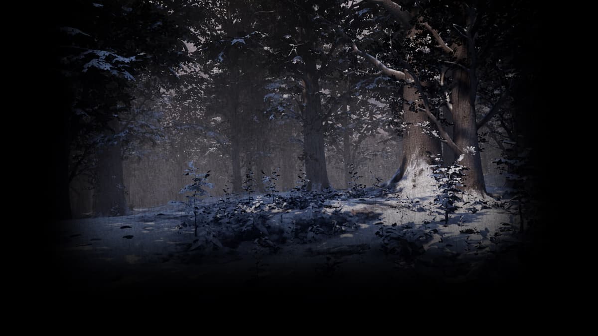 Forest