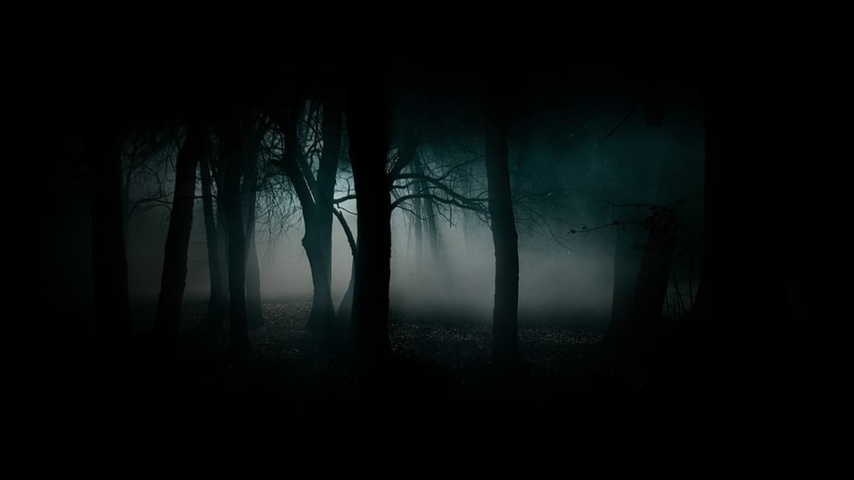 Fog