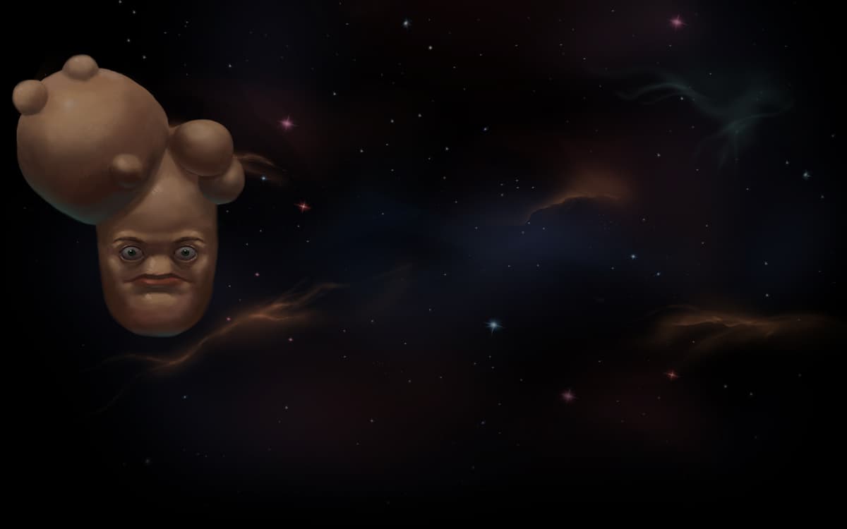 Paradigm in the Multiverse
