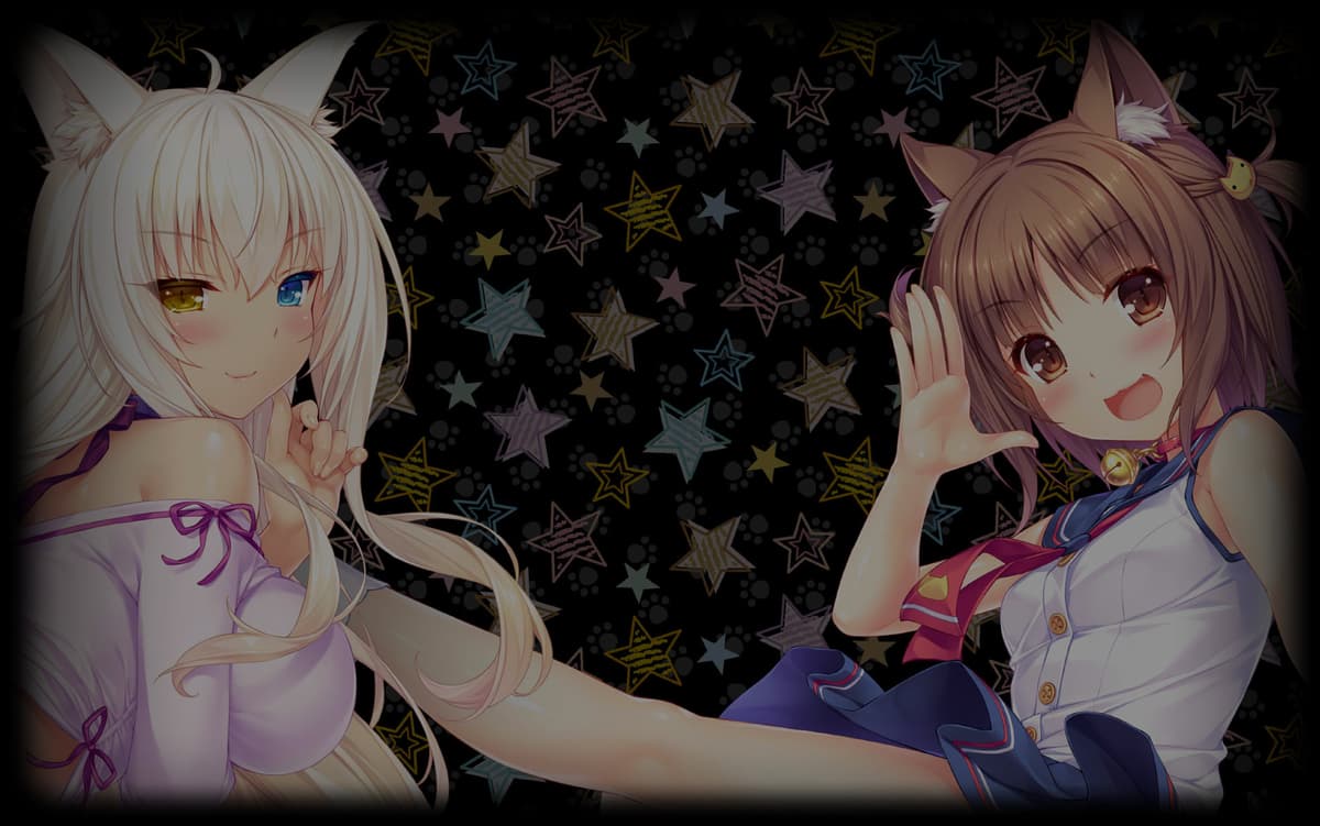 Coconut and Azuki in Casual Wear