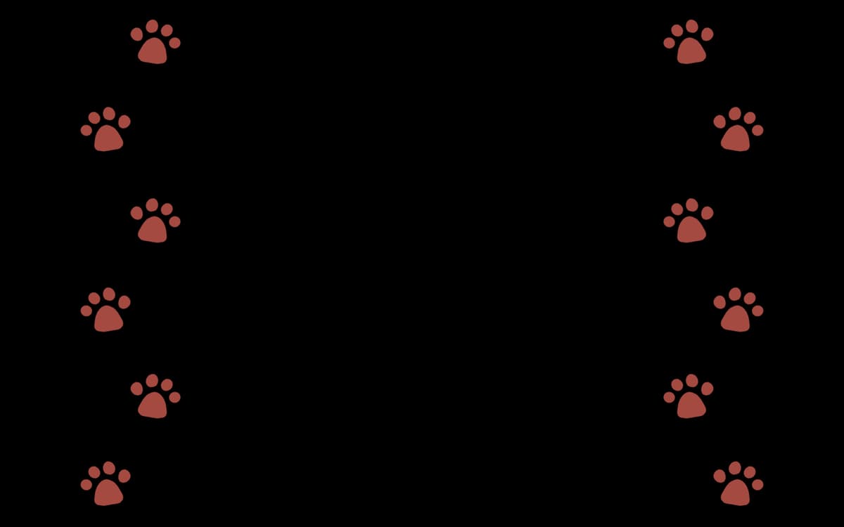 The Cat Prints