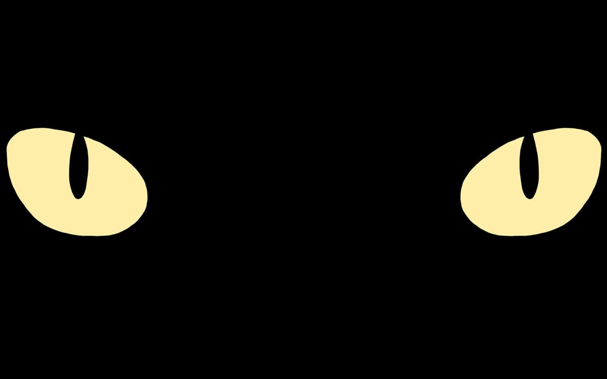 The Cat Eyes