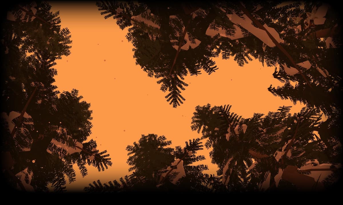 Wind in the woods