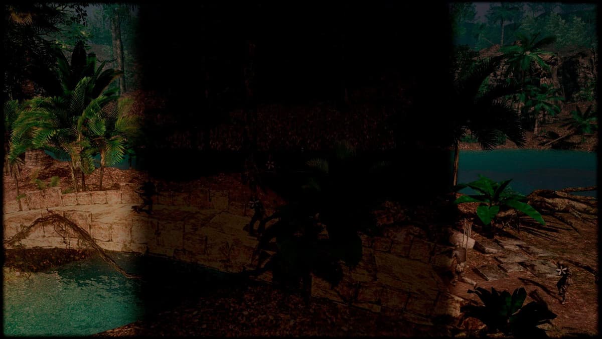 Tropical forest