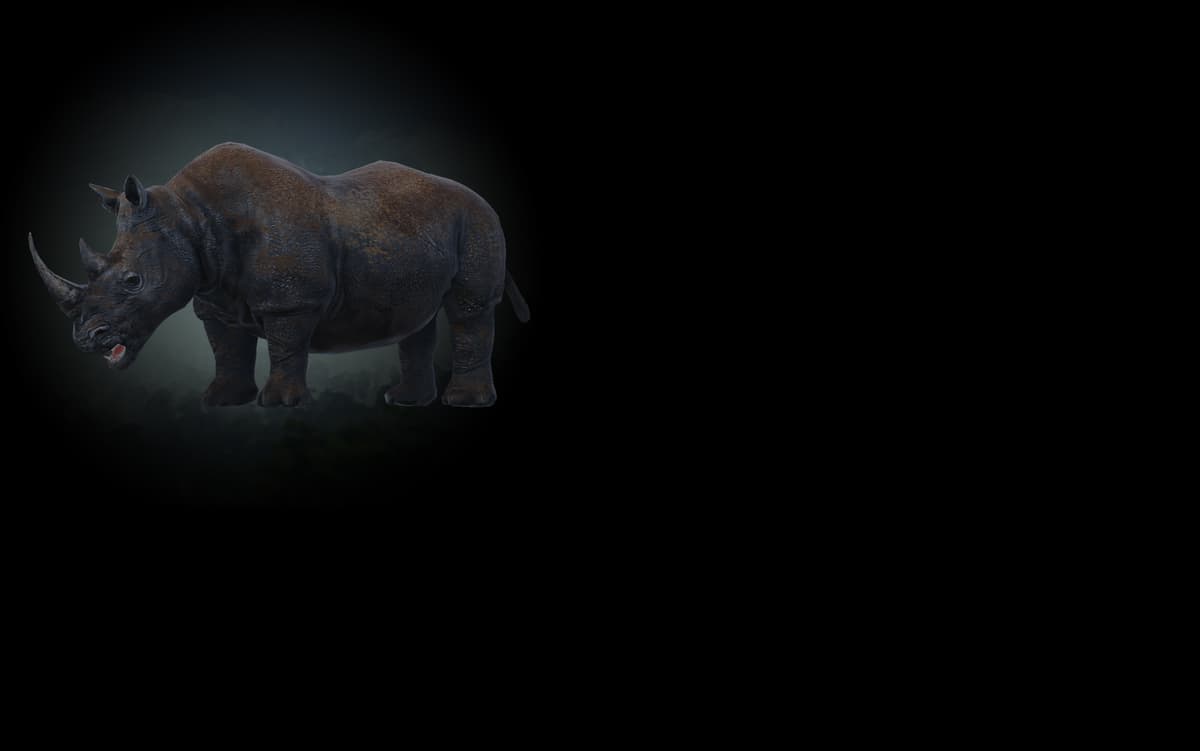 Rhinoceros (Profile Background)