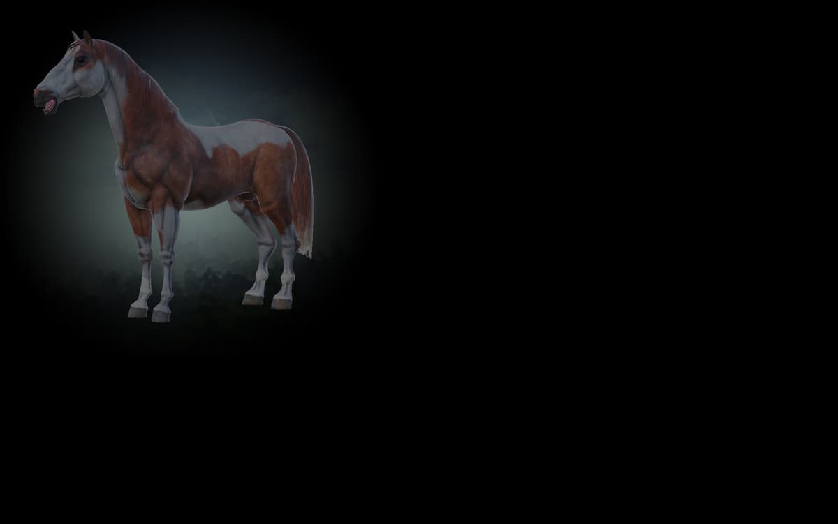 Paint Horse (Profile Background)