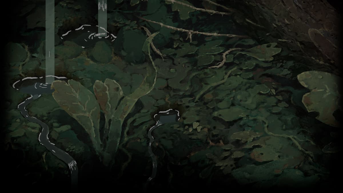 Underbrush