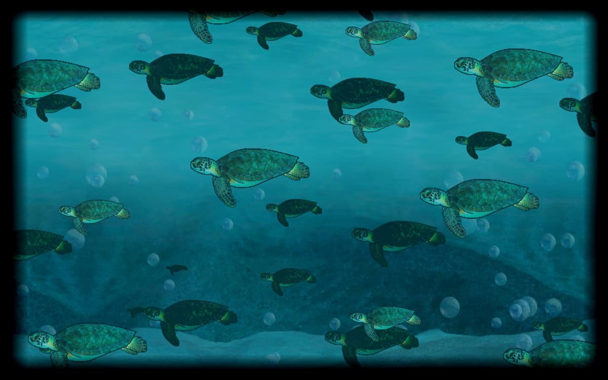 Turtles