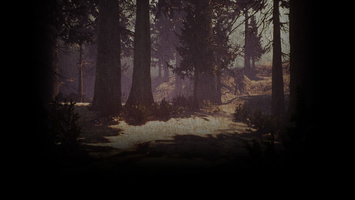 Forest