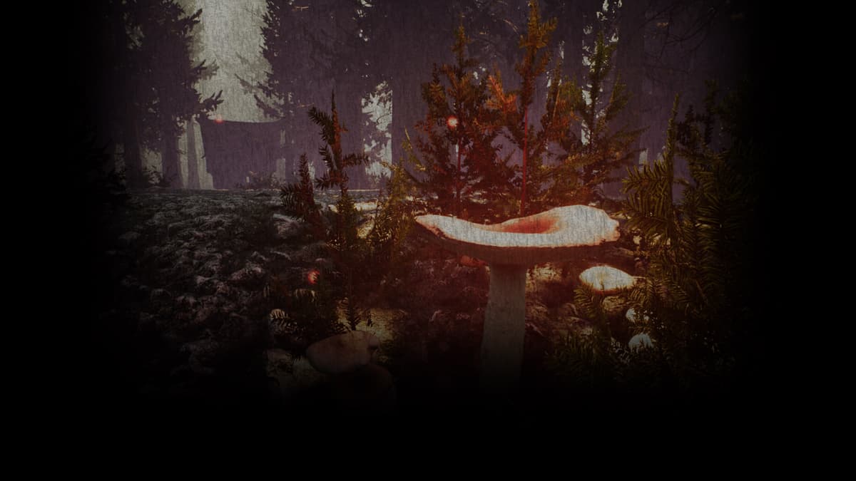 Mushroom (Profile Background)