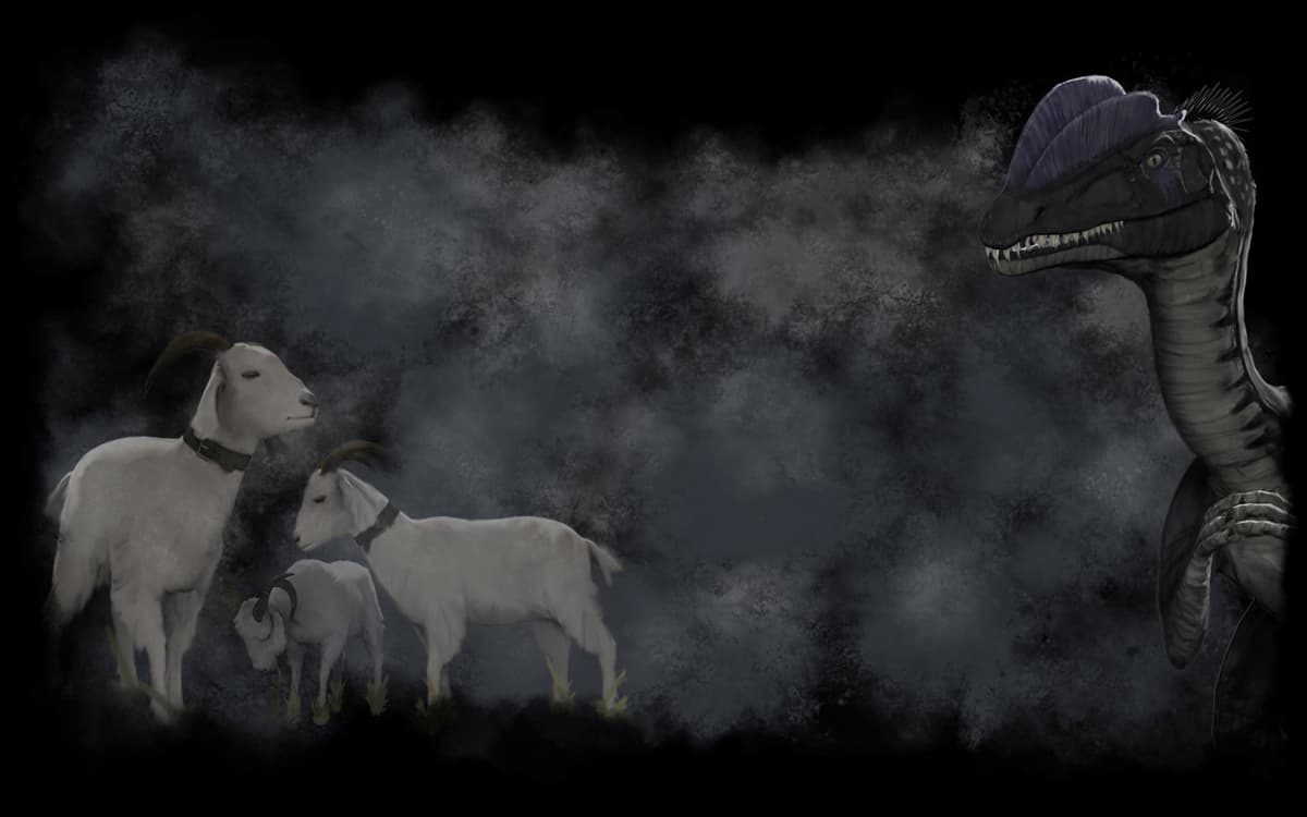 Dilo <3 Goats