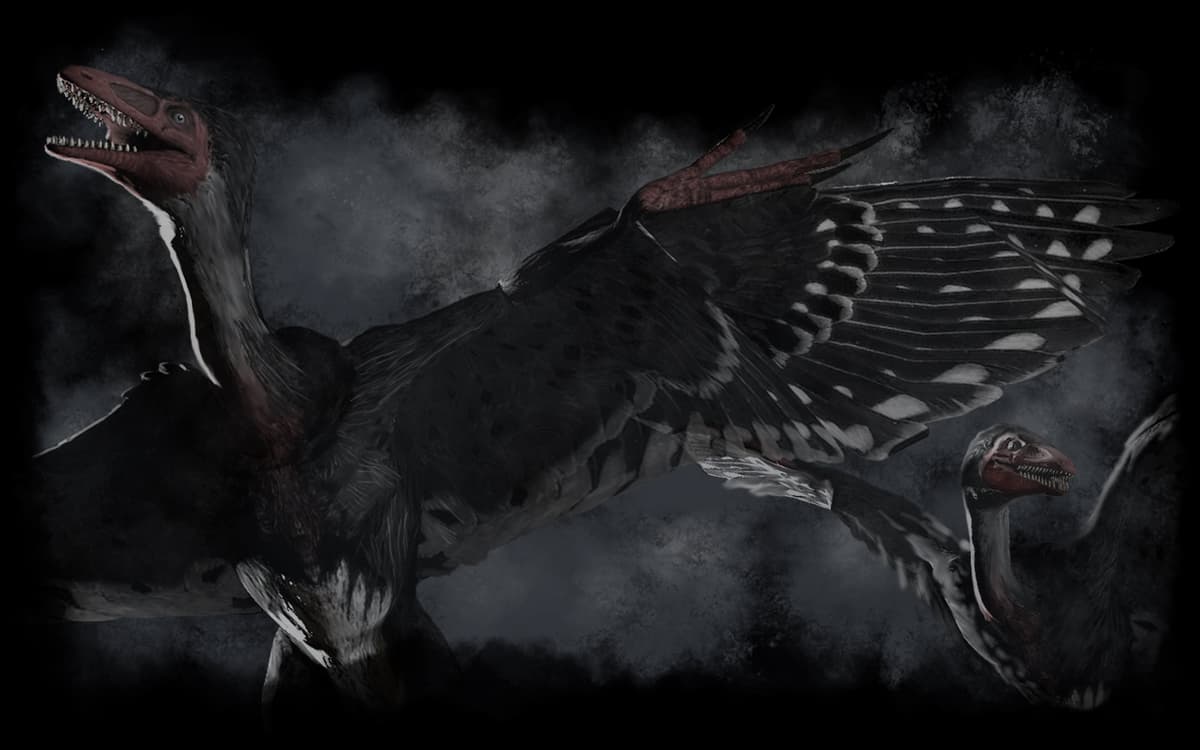 Soaring to the Heavens!