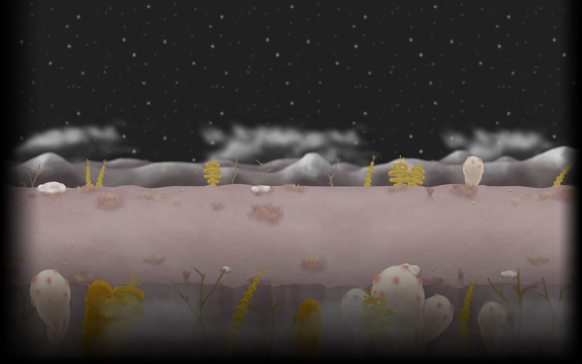 Europa Tundra