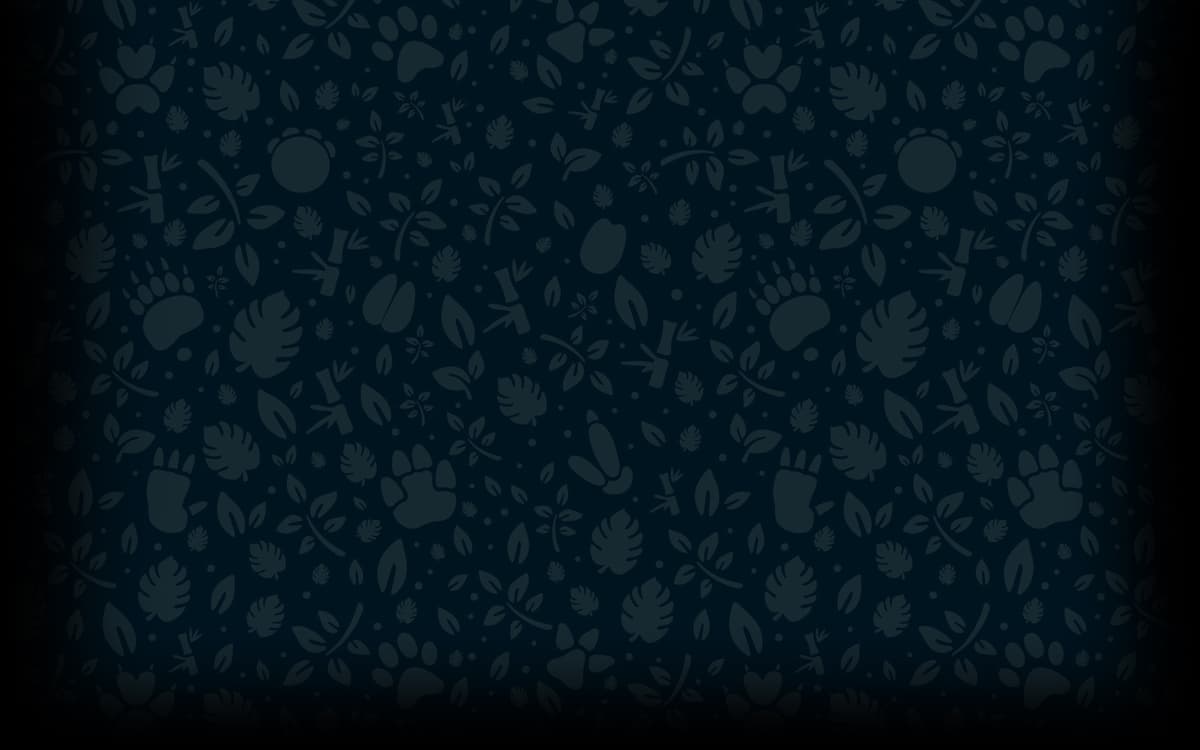 Zoo Keeper Zone