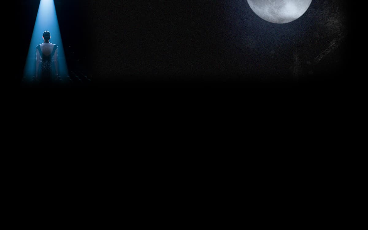 Lala (Profile Background)