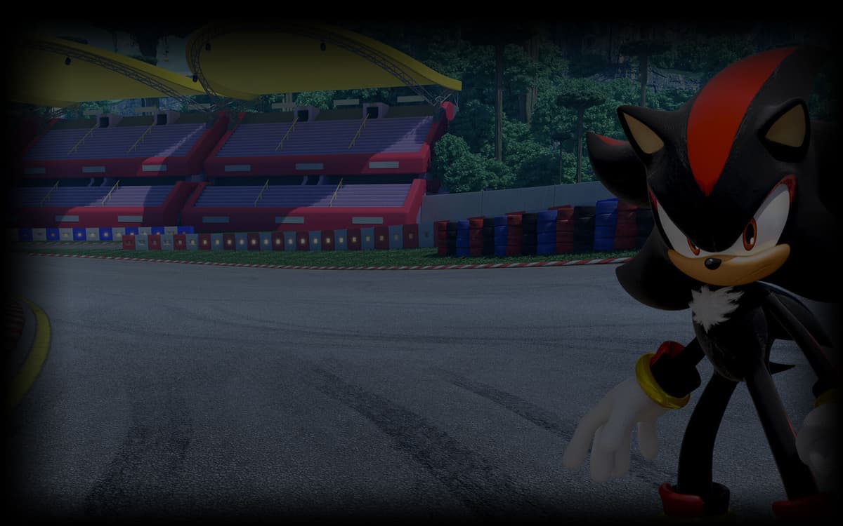 Shadow the Hedgehog (Profile Background)