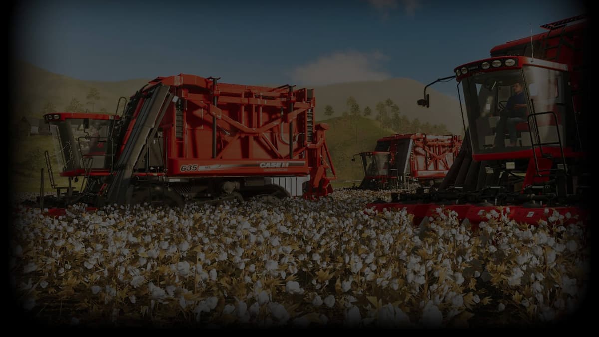 Cotton harvesting