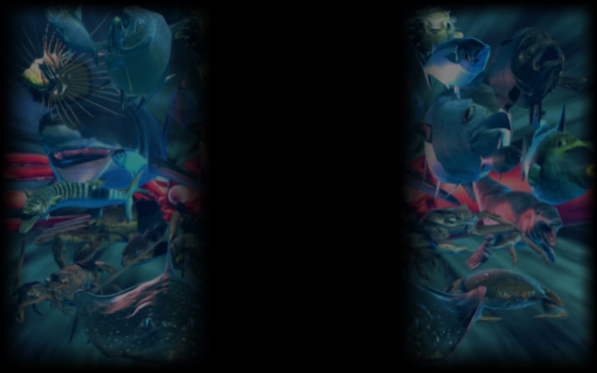 Ace of Seafood (Profile Background)
