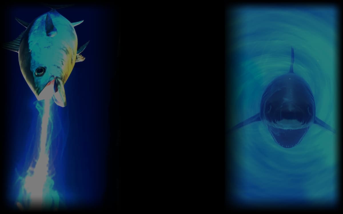 Tuna and Shark
