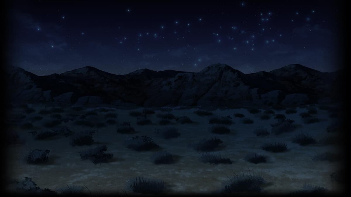 Nighttime Desert