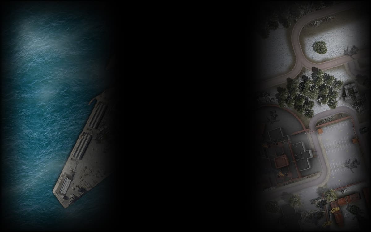 Background Fly