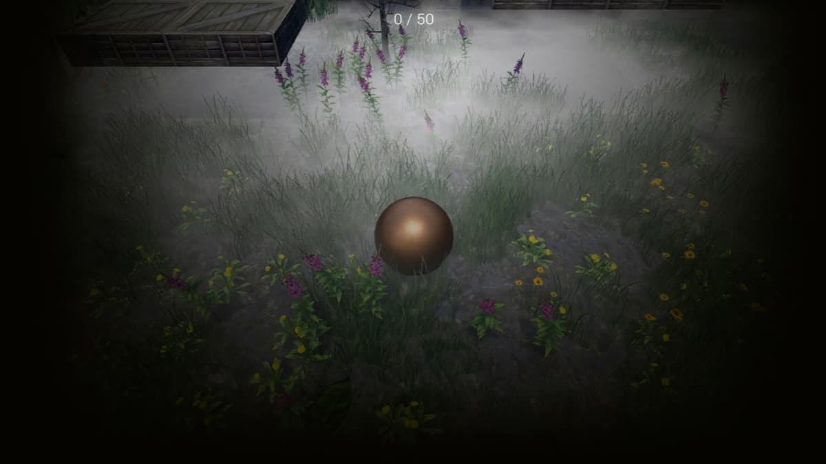 Field in fog