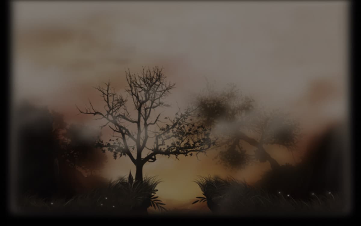 Beautiful Sunset (Profile Background)