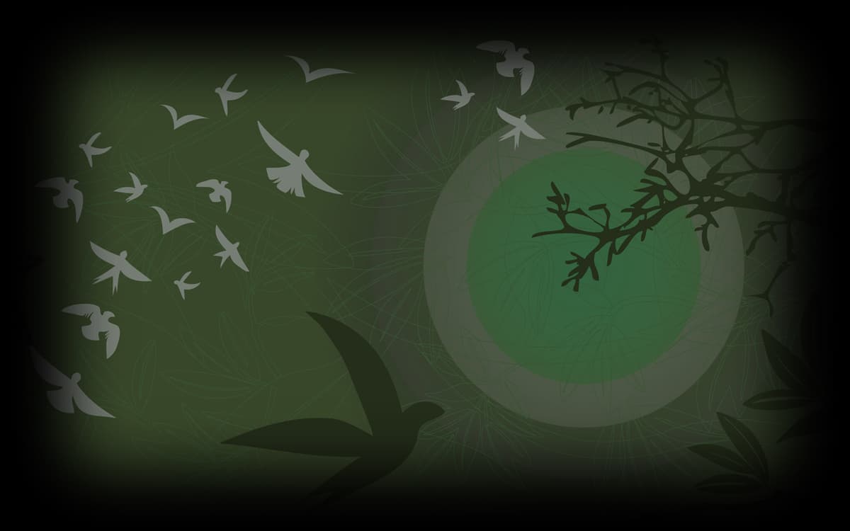Green Birds