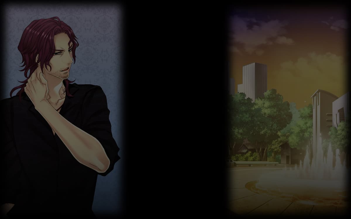 Arashiro Mamoru (Profile Background)