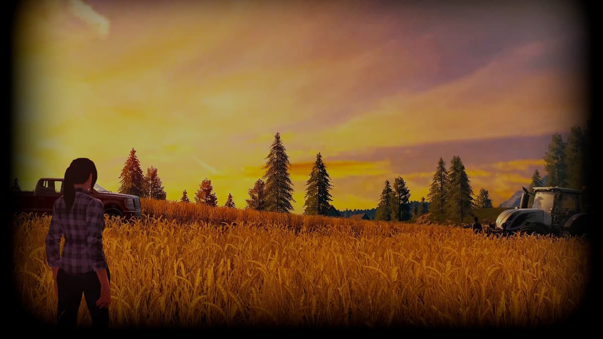Wheatfield