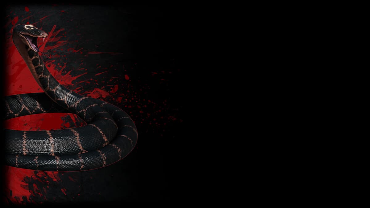 Avatar of Set (Profile Background)