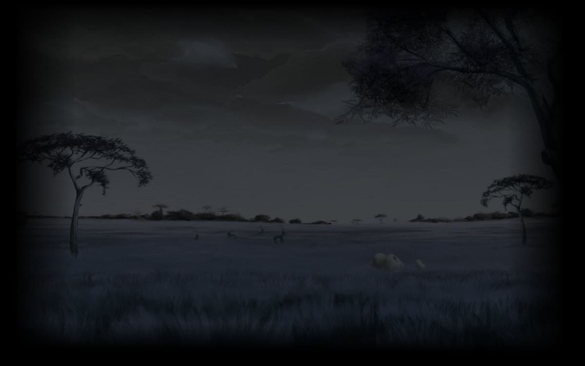 Syrno night