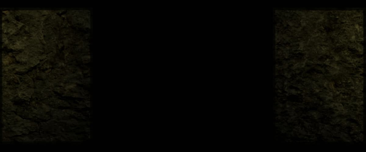 The Cave