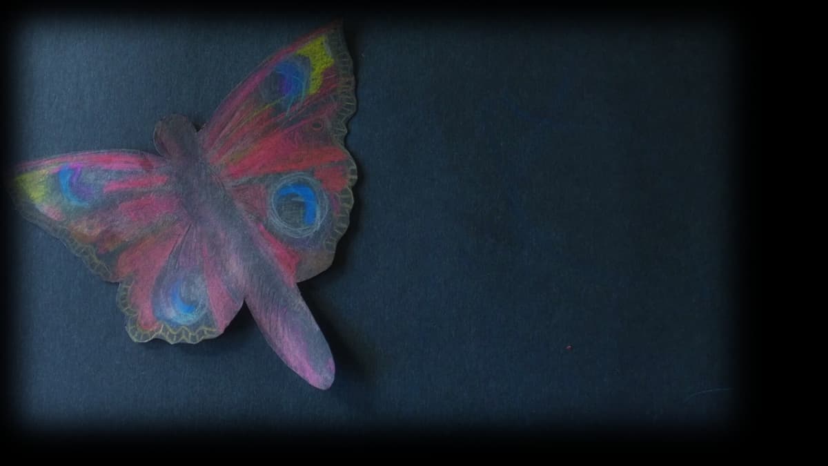 PeacockButterfly