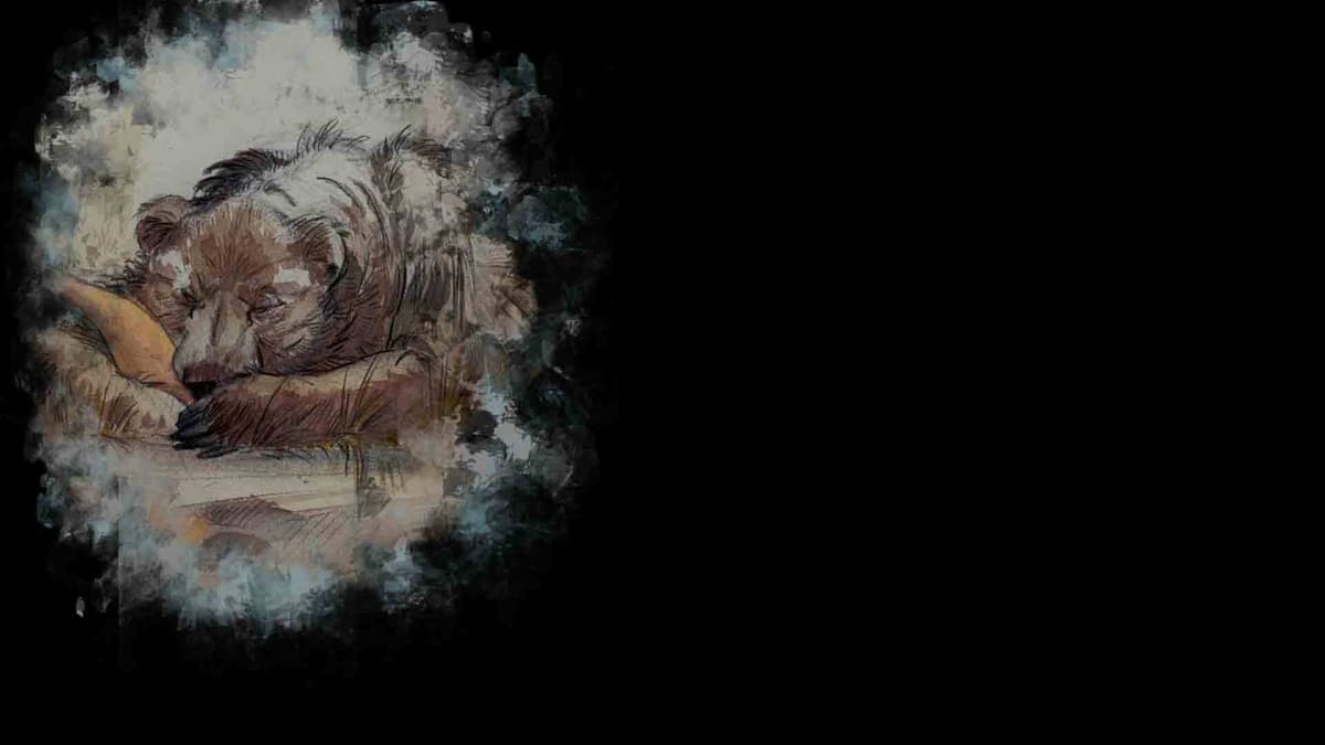 Bear (Profile Background)
