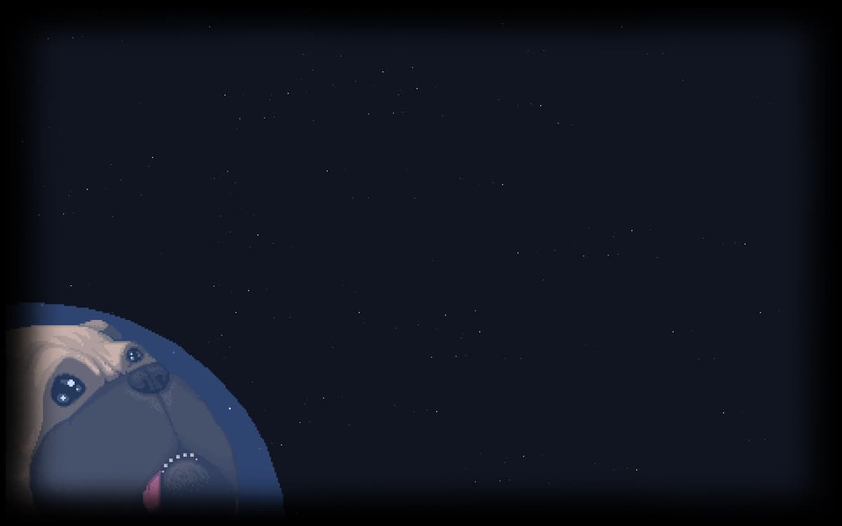 Little Pug lost in space