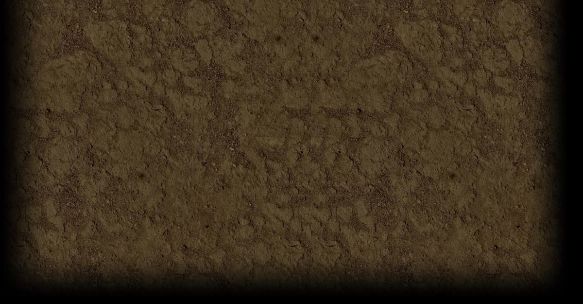 Dirt