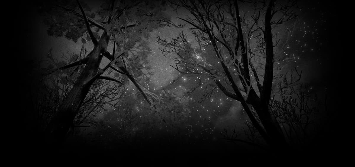 Stars