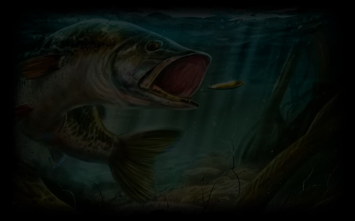 Official UFS Art