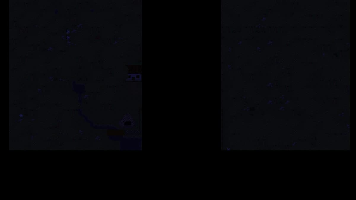 Midnight Forest
