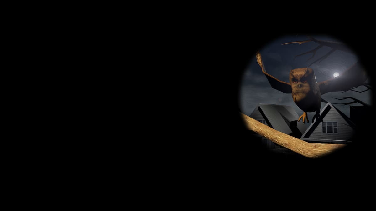 Owlson (Profile Background)