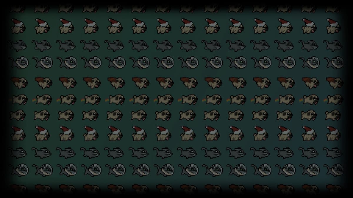 Pug wall of fame