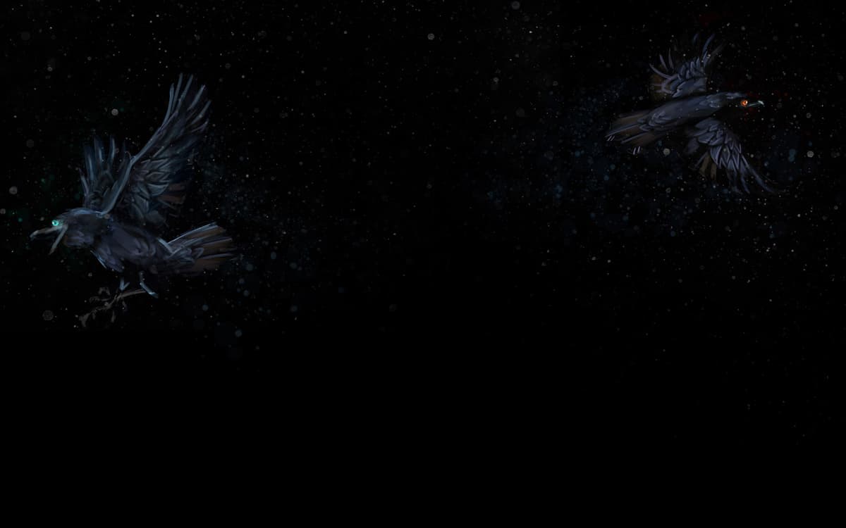 Huginn and Muninn