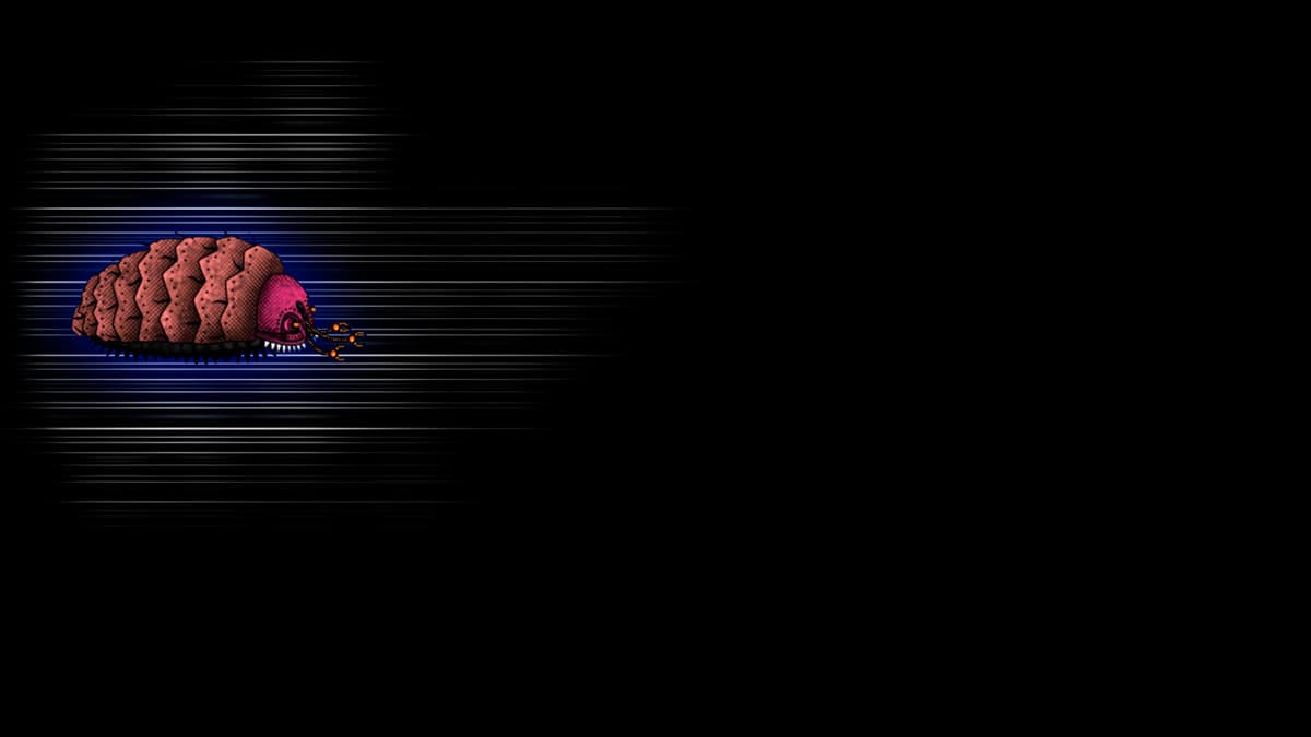 Robo Woodlouse